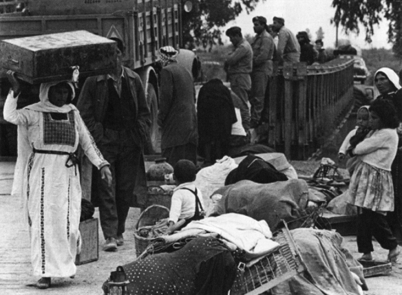 © Direitos Reservados | All Rights Reserved