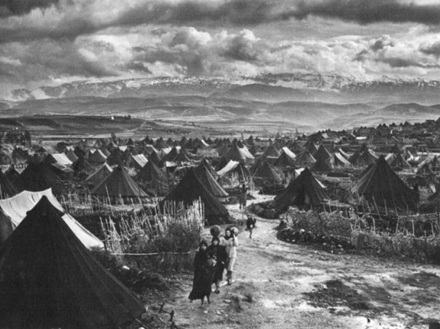 © Direitos Reservados | All Rights Reserved