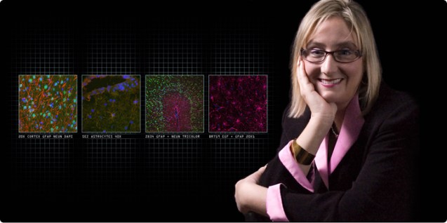 © All Rights Reserved